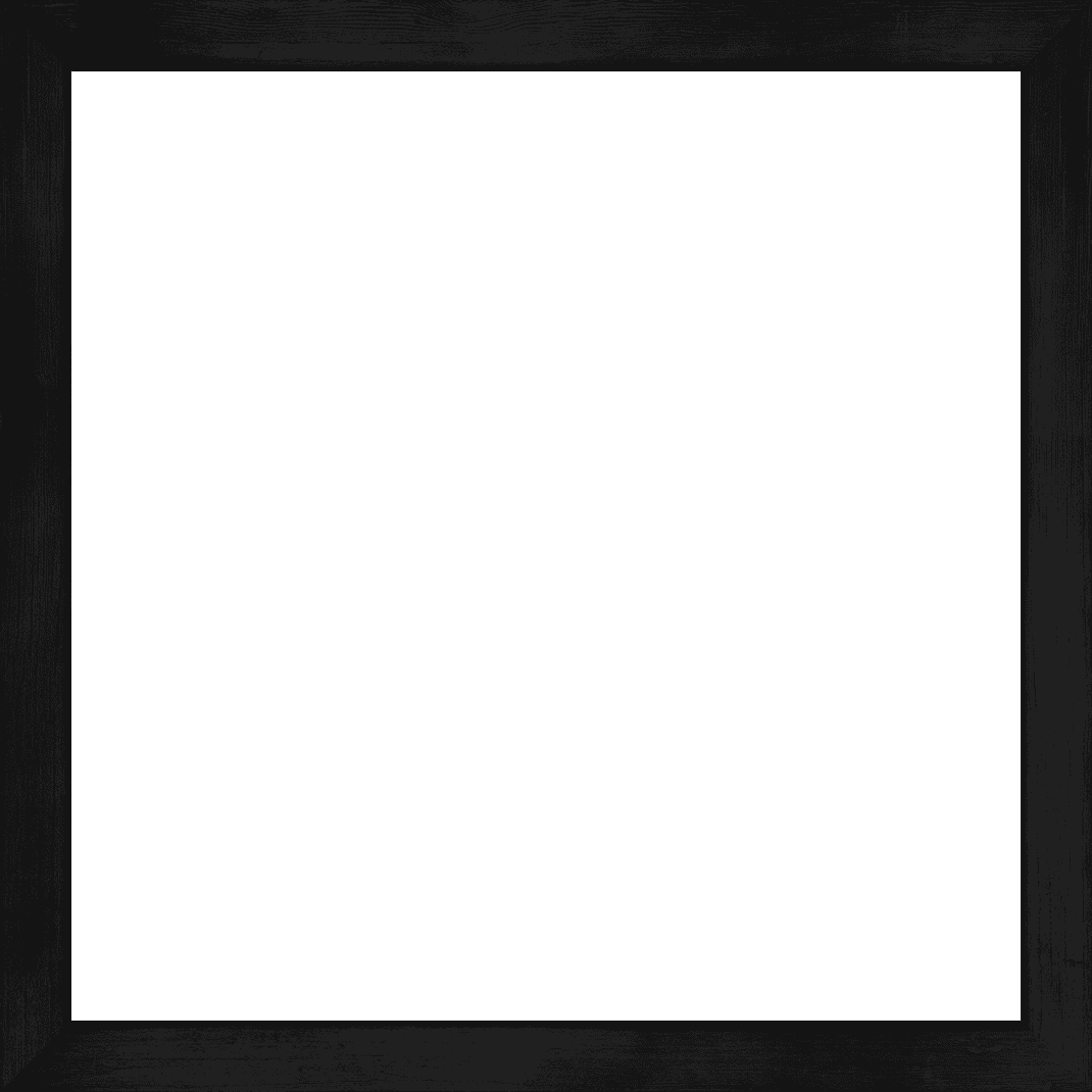 FrameForest