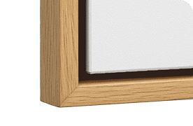 Framed canvas image