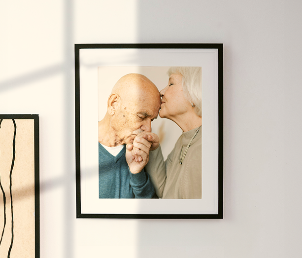 FrameForest